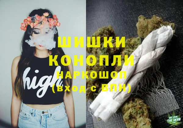 apvp Пестово