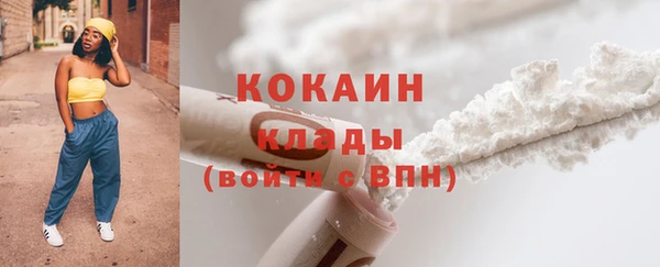 apvp Пестово