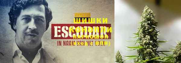 экстази Осинники
