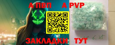 стаф Кингисепп