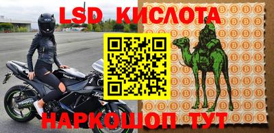 стаф Кингисепп