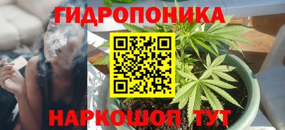 стаф Кингисепп