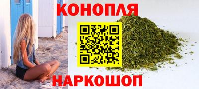 стаф Кингисепп