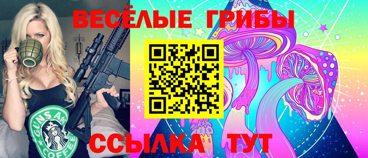 купить наркотики цена  Новодвинск  Псилоцибиновые грибы ЛСД 