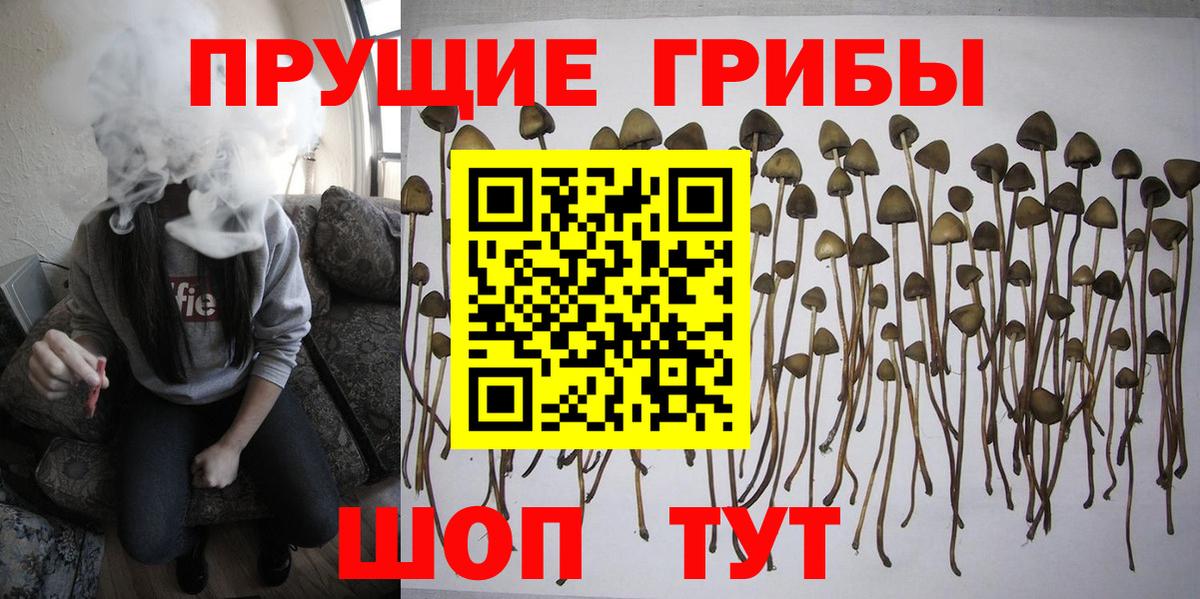 Гашиш  Марихуана  Мефедрон кристаллы  КОКАИН  ЭКСТАЗИ  Новодвинск  МЕТ  Меф кристаллы 