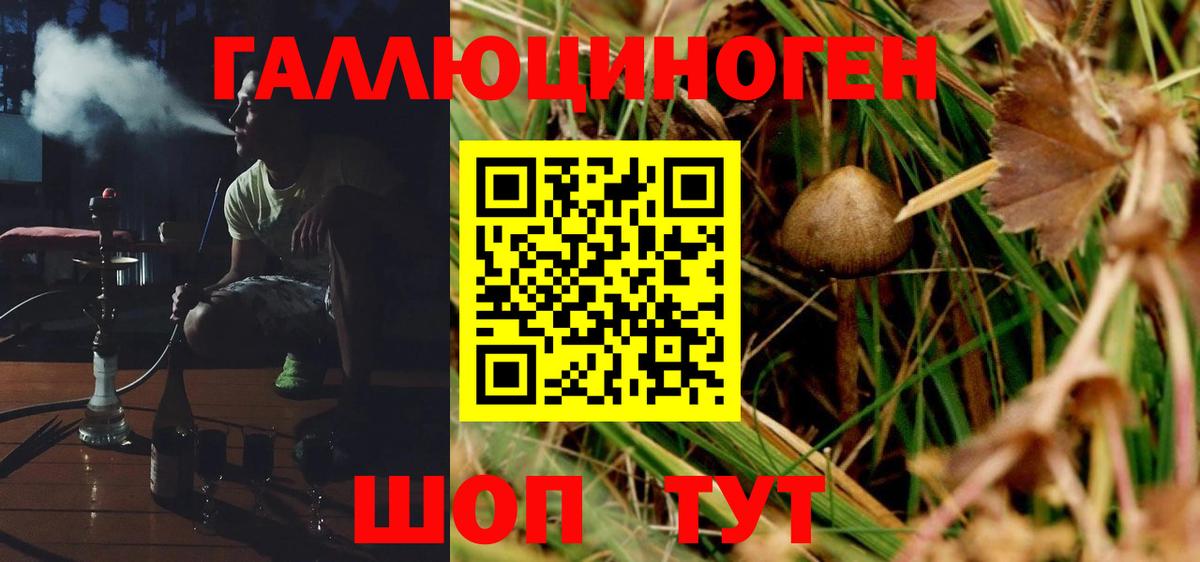 Псилоцибиновые грибы мухоморы Новодвинск