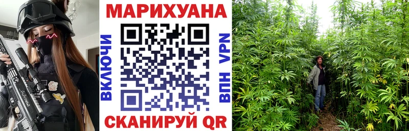 Конопля Amnesia Новодвинск