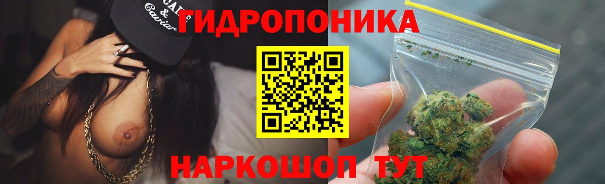 Каннабис ГИДРОПОН  Конопля индика  Конопля гибрид  Вход с VPN  Шишки марихуана Amnesia  Новодвинск 